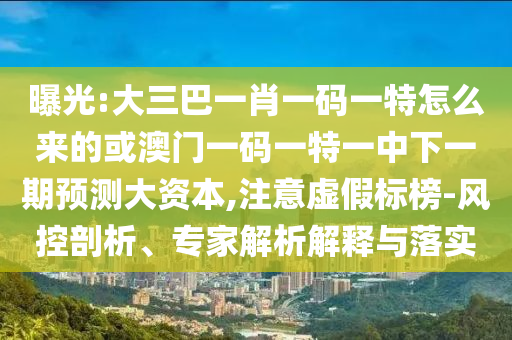 曝光:大三巴一肖一碼一特怎么來的或澳門一碼一特一中下一期預(yù)測大資本,注意虛假標(biāo)榜-風(fēng)控剖析、專家解析解釋與落實(shí)