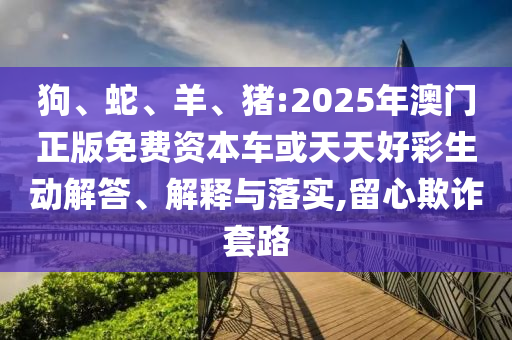 狗、蛇、羊、豬:2025年澳門正版免費(fèi)資本車或天天好彩生動(dòng)解答、解釋與落實(shí),留心欺詐套路
