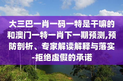 大三巴一肖一碼一特是干嘛的和澳門一特一肖下一期預測,預防剖析、專家解讀解釋與落實-拒絕虛假的承諾
