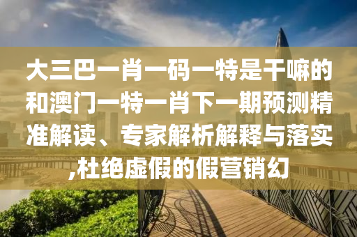 大三巴一肖一碼一特是干嘛的和澳門一特一肖下一期預測精準解讀、專家解析解釋與落實,杜絕虛假的假營銷幻