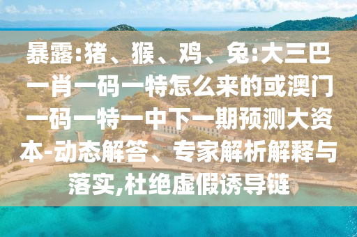 暴露:豬、猴、雞、兔:大三巴一肖一碼一特怎么來(lái)的或澳門一碼一特一中下一期預(yù)測(cè)大資本-動(dòng)態(tài)解答、專家解析解釋與落實(shí),杜絕虛假誘導(dǎo)鏈
