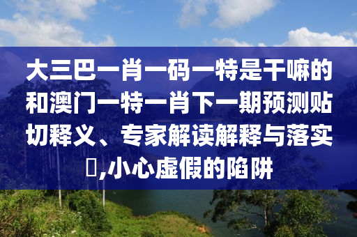 大三巴一肖一碼一特是干嘛的和澳門一特一肖下一期預(yù)測貼切釋義、專家解讀解釋與落實?,小心虛假的陷阱